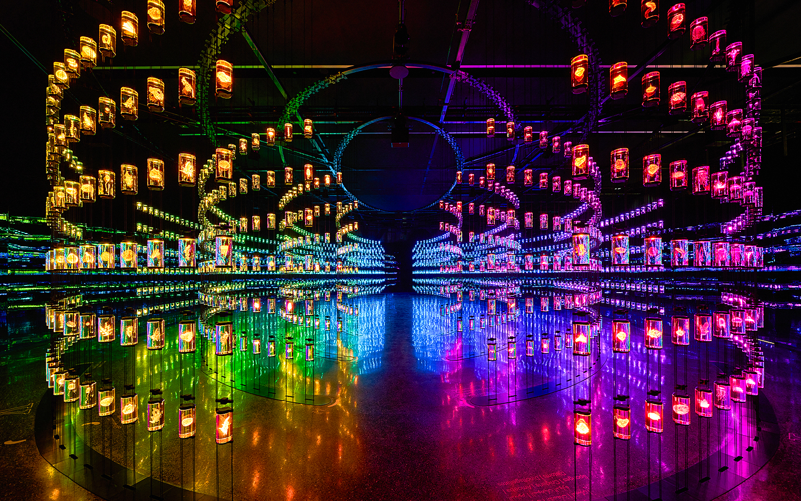 Futuristic light installation at Museum of The Future, Dubai, UAE.