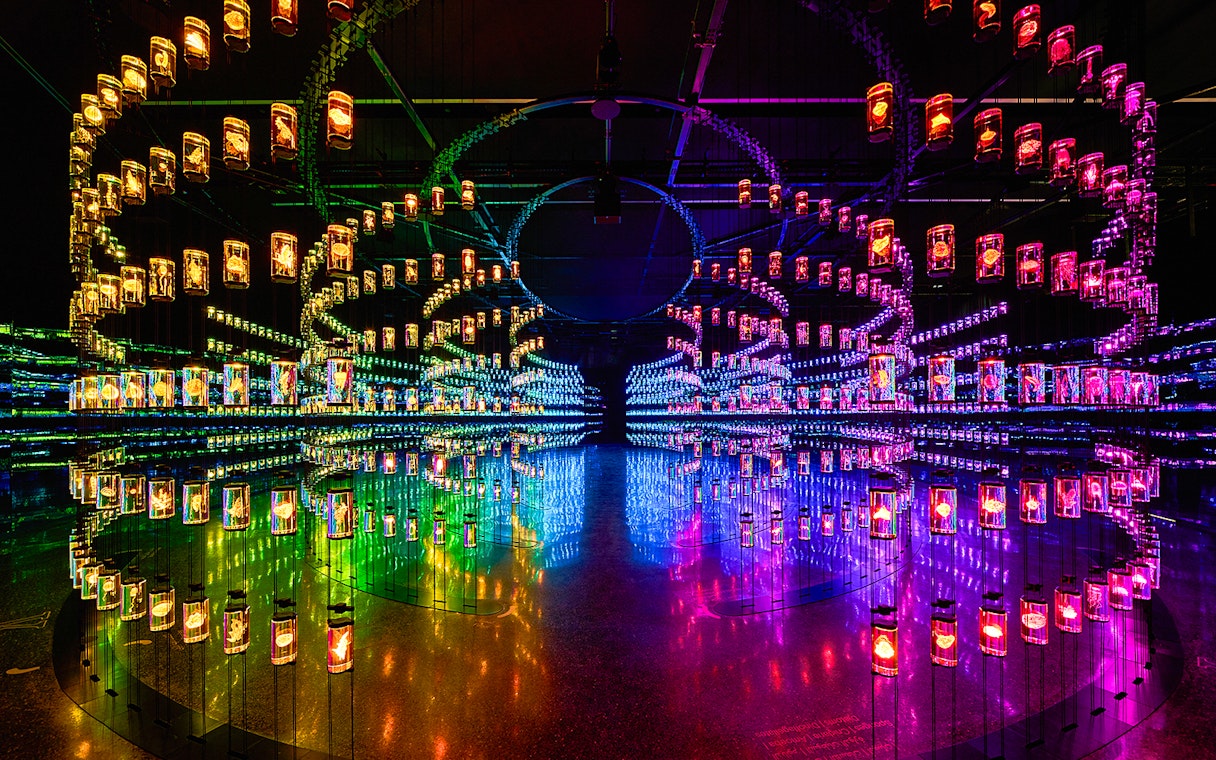 Futuristic light installation at Museum of The Future, Dubai, UAE.