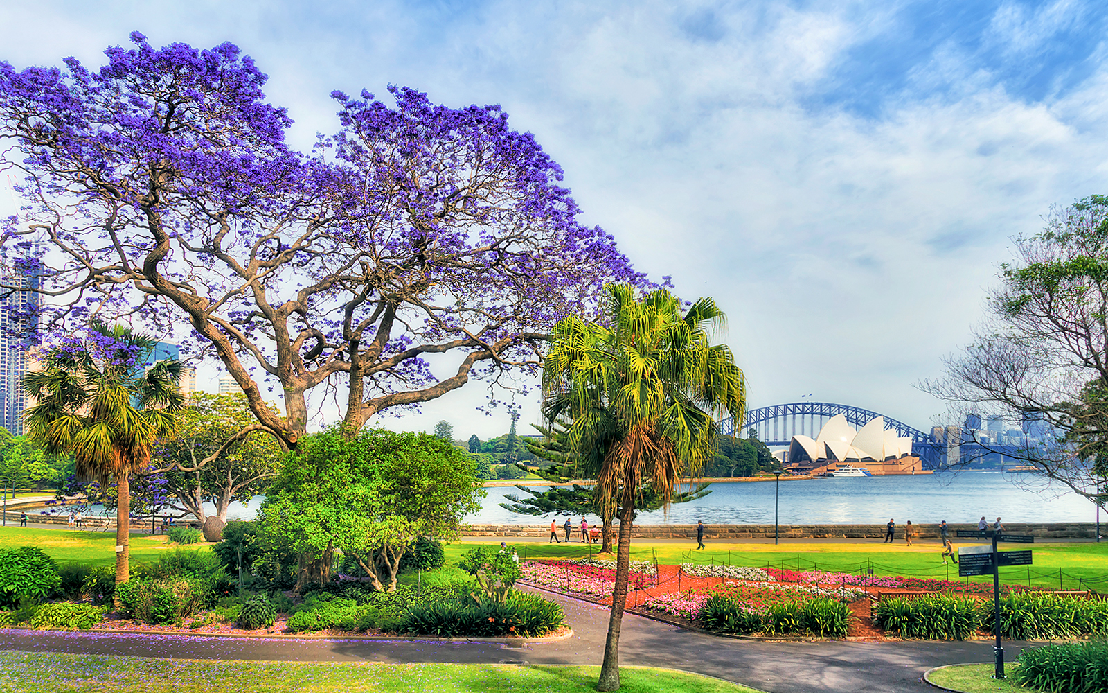 Big Bus Sydney Tours