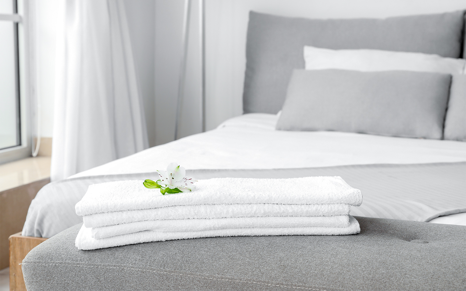 Mary Valley Rattler Train tickets