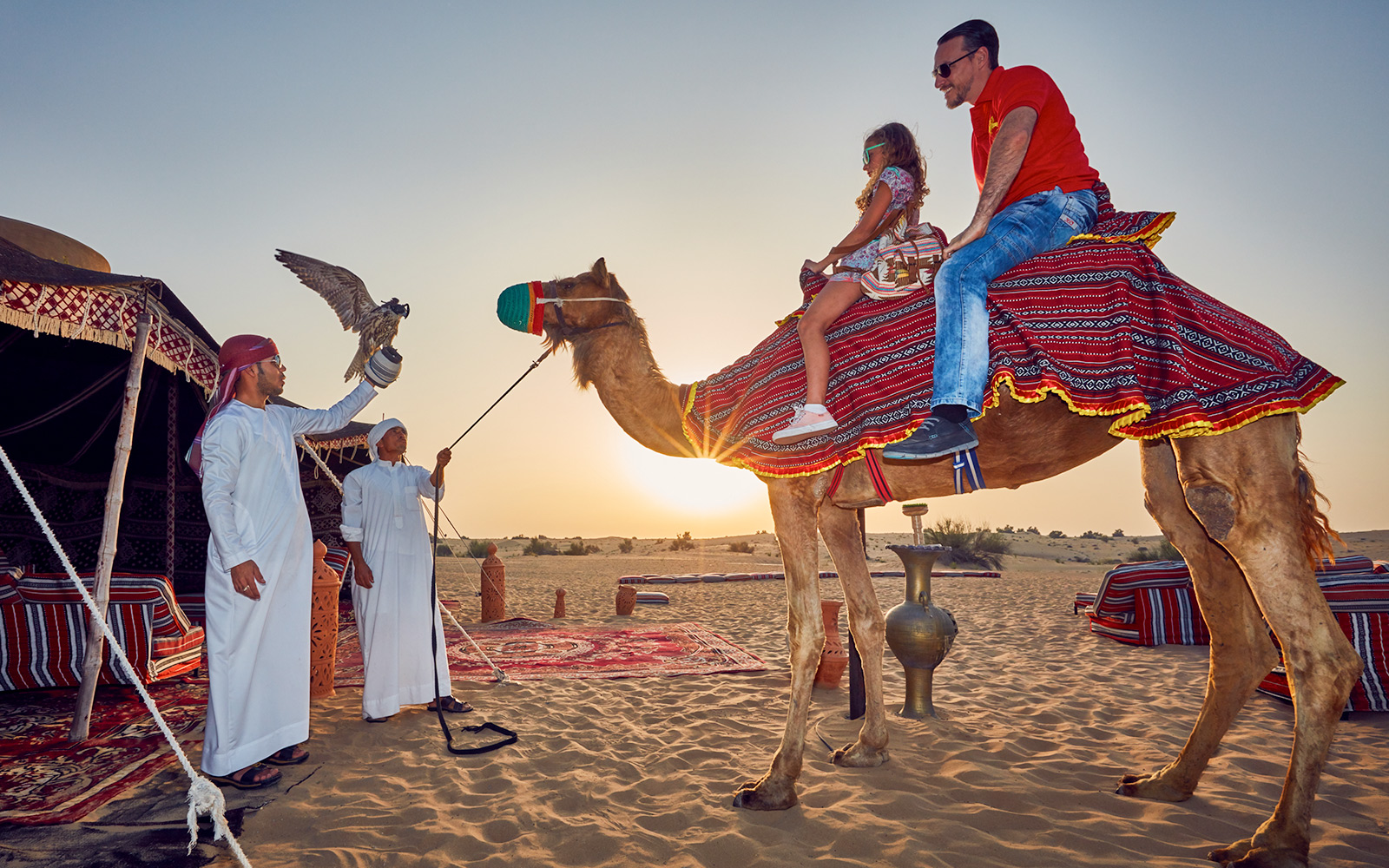 Camel ride at sunset during a desert safari in Dubai with falconry display.