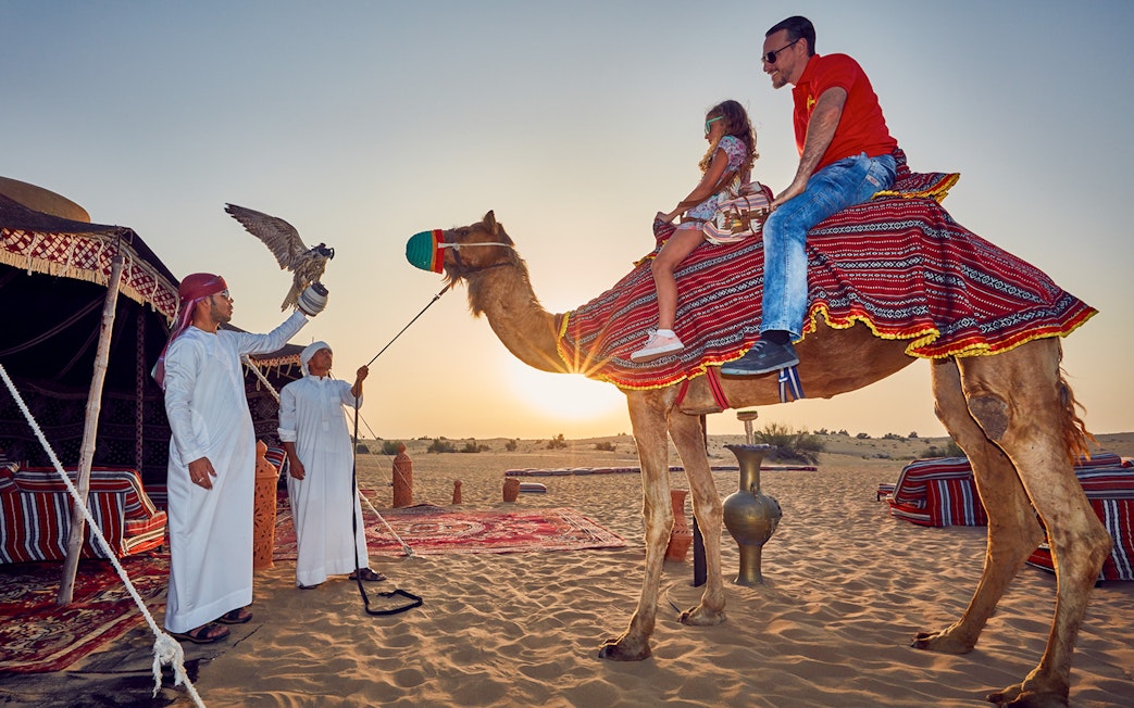Camel ride at sunset during a desert safari in Dubai with falconry display.