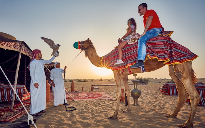 Camel ride at sunset during a desert safari in Dubai with falconry display.