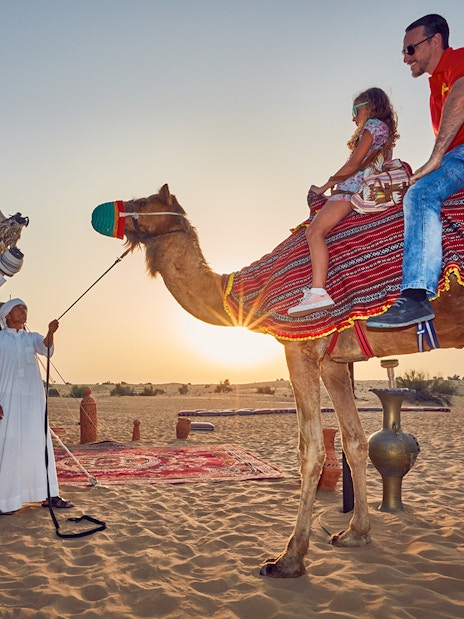 Camel ride at sunset during a desert safari in Dubai with falconry display.