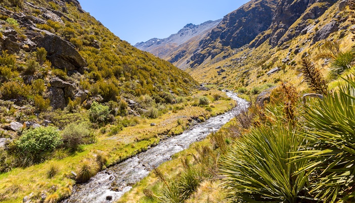 Wye Creek Track view of Milford Sound with lush greenery and mountain backdrop in Queenstown.