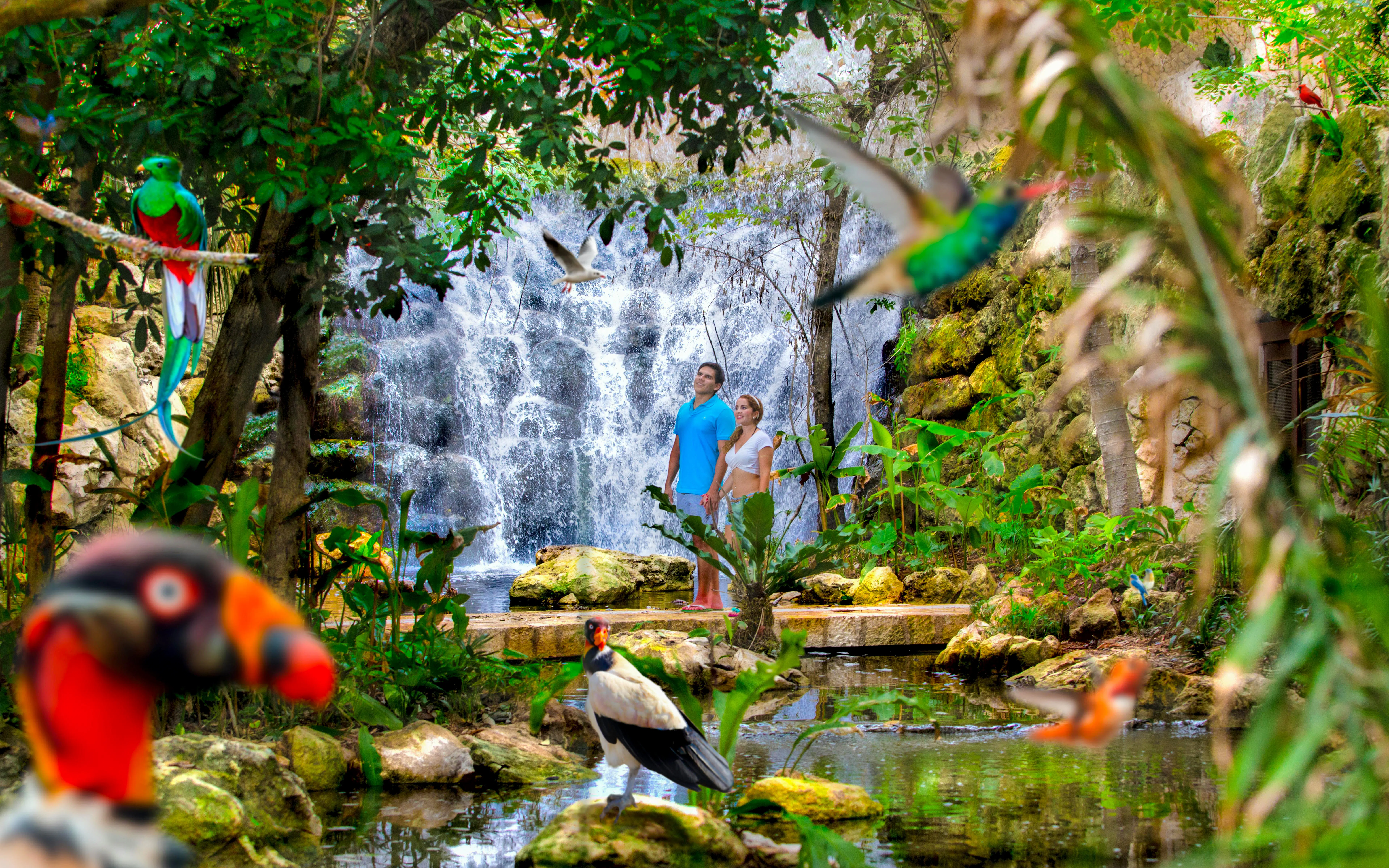 Visitors at Xcaret Park standing by a waterfall surrounded by tropical birds and lush greenery.
