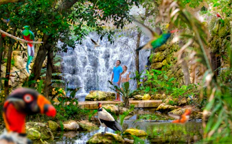 Visitors at Xcaret Park standing by a waterfall surrounded by tropical birds and lush greenery.