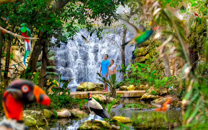 Visitors at Xcaret Park standing by a waterfall surrounded by tropical birds and lush greenery.