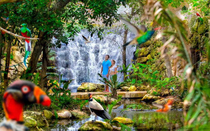 Visitors at Xcaret Park standing by a waterfall surrounded by tropical birds and lush greenery.