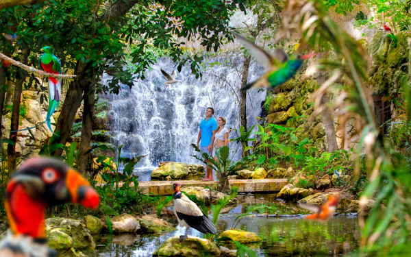 Xcaret Park Entry Tickets With Hotel Pick Up