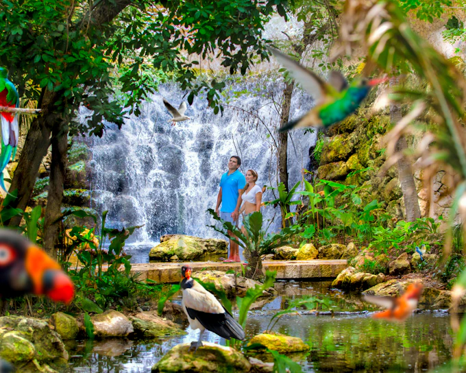 Xcaret Park Entry Tickets With Hotel Pick Up