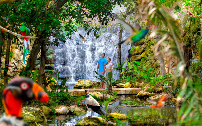 Visitors at Xcaret Park standing by a waterfall surrounded by tropical birds and lush greenery.