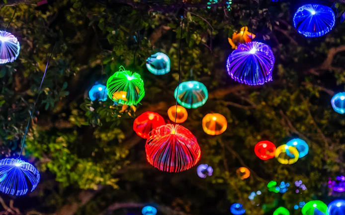 Colorful illuminated lanterns hanging in trees at AquaGlow, Adventure Island Tampa.