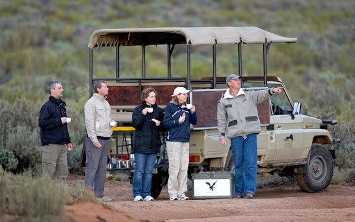 à partir du cap : excursion d'une journée « aquila big 5 safari » avec transferts privés, repas et dégustation de vin-2