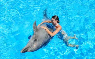 Swimming with a dolphin at Dolphinarium Pattaya for non-Thai residents.