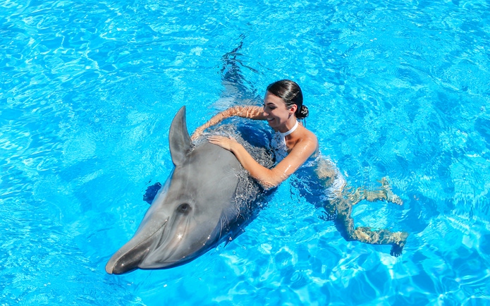 Swimming with a dolphin at Dolphinarium Pattaya for non-Thai residents.