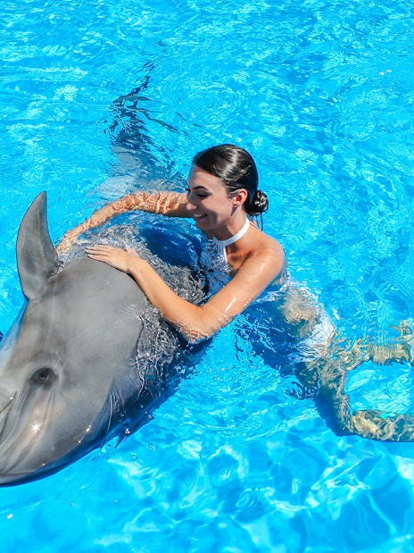 Swimming with a dolphin at Dolphinarium Pattaya for non-Thai residents.