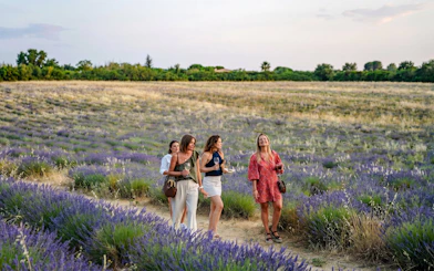 Visitors walking through lavender fields at Terre Ugo, Provence.