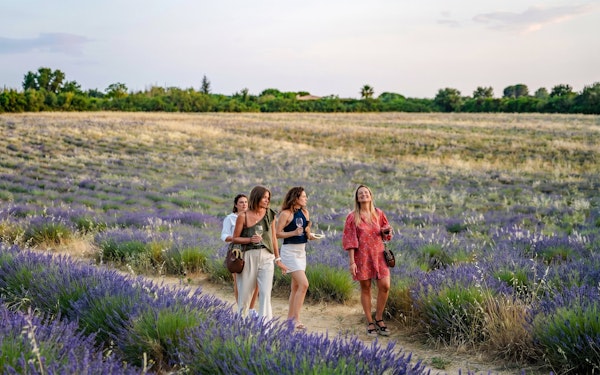 Lavender Fields Family Estate Visit