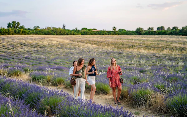 Lavender Fields Family Estate Visit