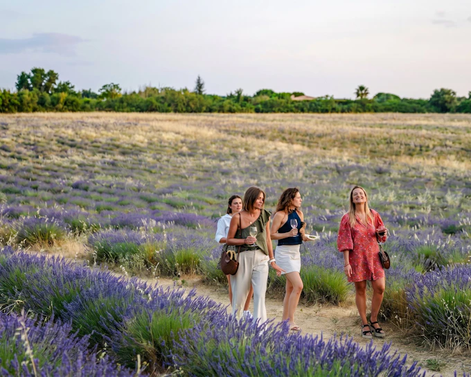 Lavender Fields Family Estate Visit