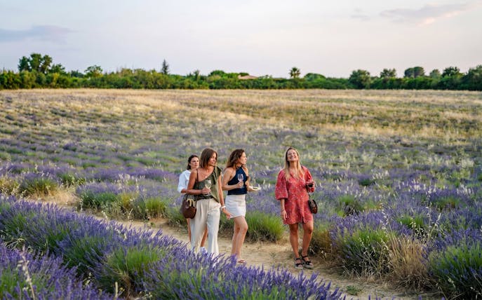 Visitors walking through lavender fields at Terre Ugo, Provence.