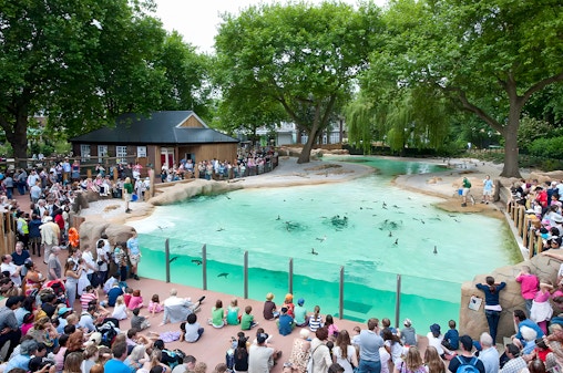 London Zoo Entrance Tickets