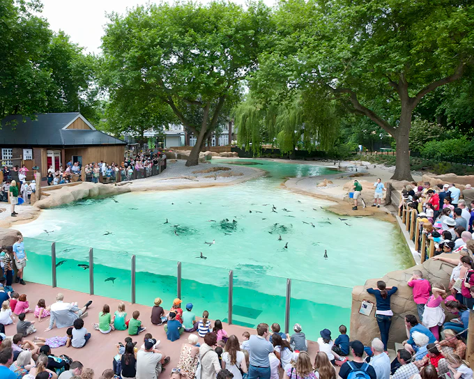 London Zoo Entrance Tickets