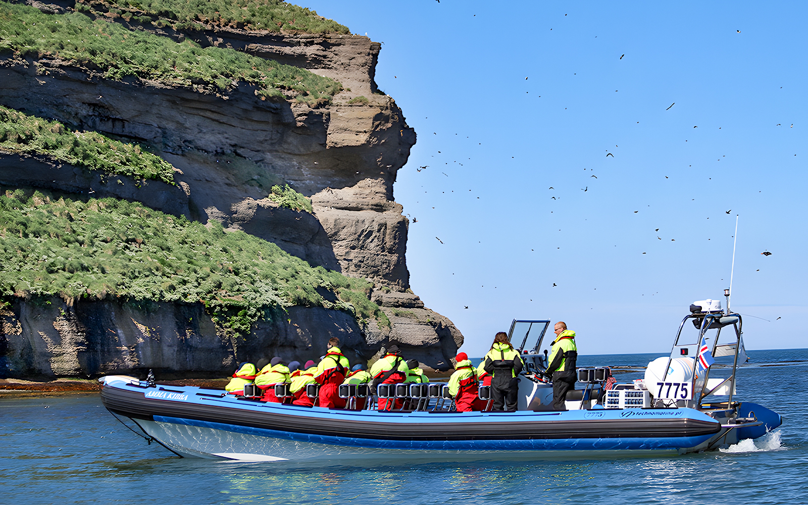 Guests on a RIB speedboat near Lundey, Puffin Island, Husavik, with birds flying overhead.