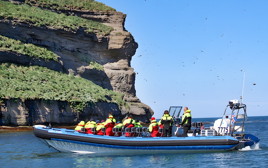Guests on a RIB speedboat near Lundey, Puffin Island, Husavik, with birds flying overhead.