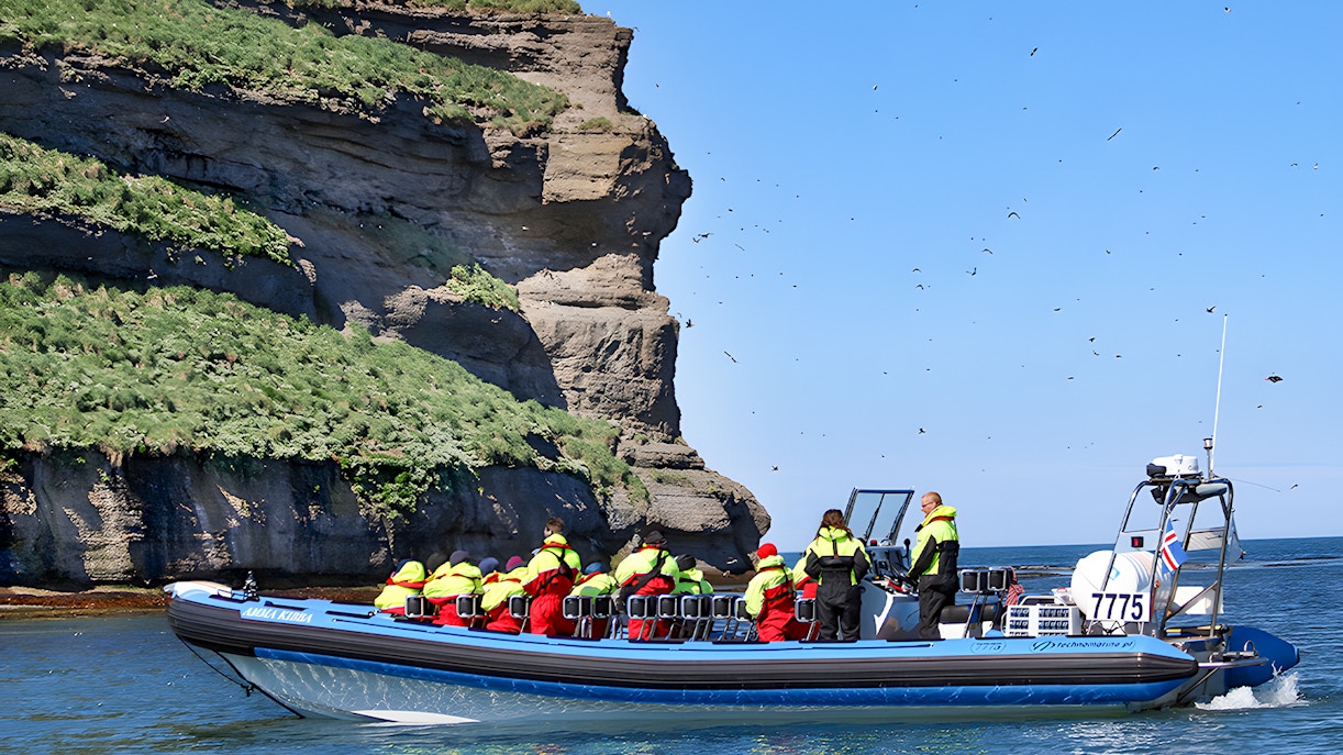 Guests on a RIB speedboat near Lundey, Puffin Island, Husavik, with birds flying overhead.