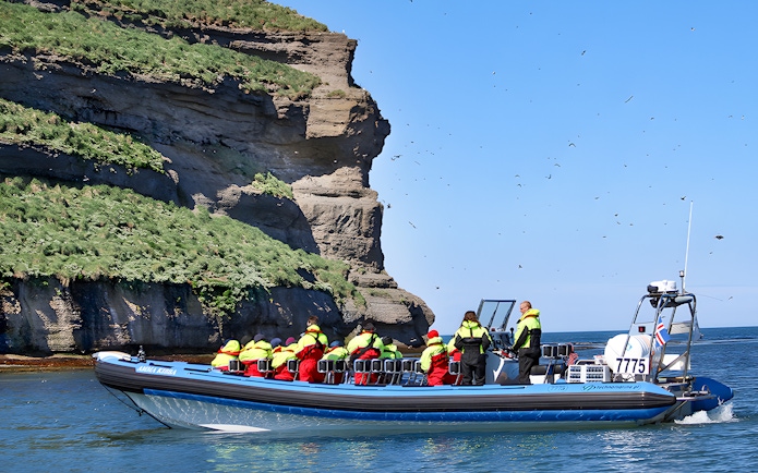 Guests on a RIB speedboat near Lundey, Puffin Island, Husavik, with birds flying overhead.