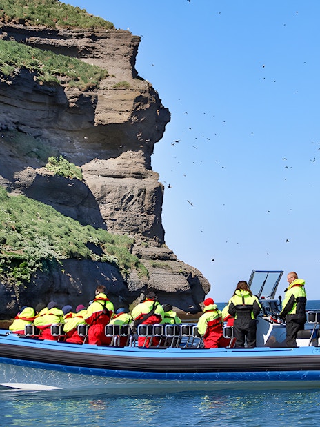 Guests on a RIB speedboat near Lundey, Puffin Island, Husavik, with birds flying overhead.