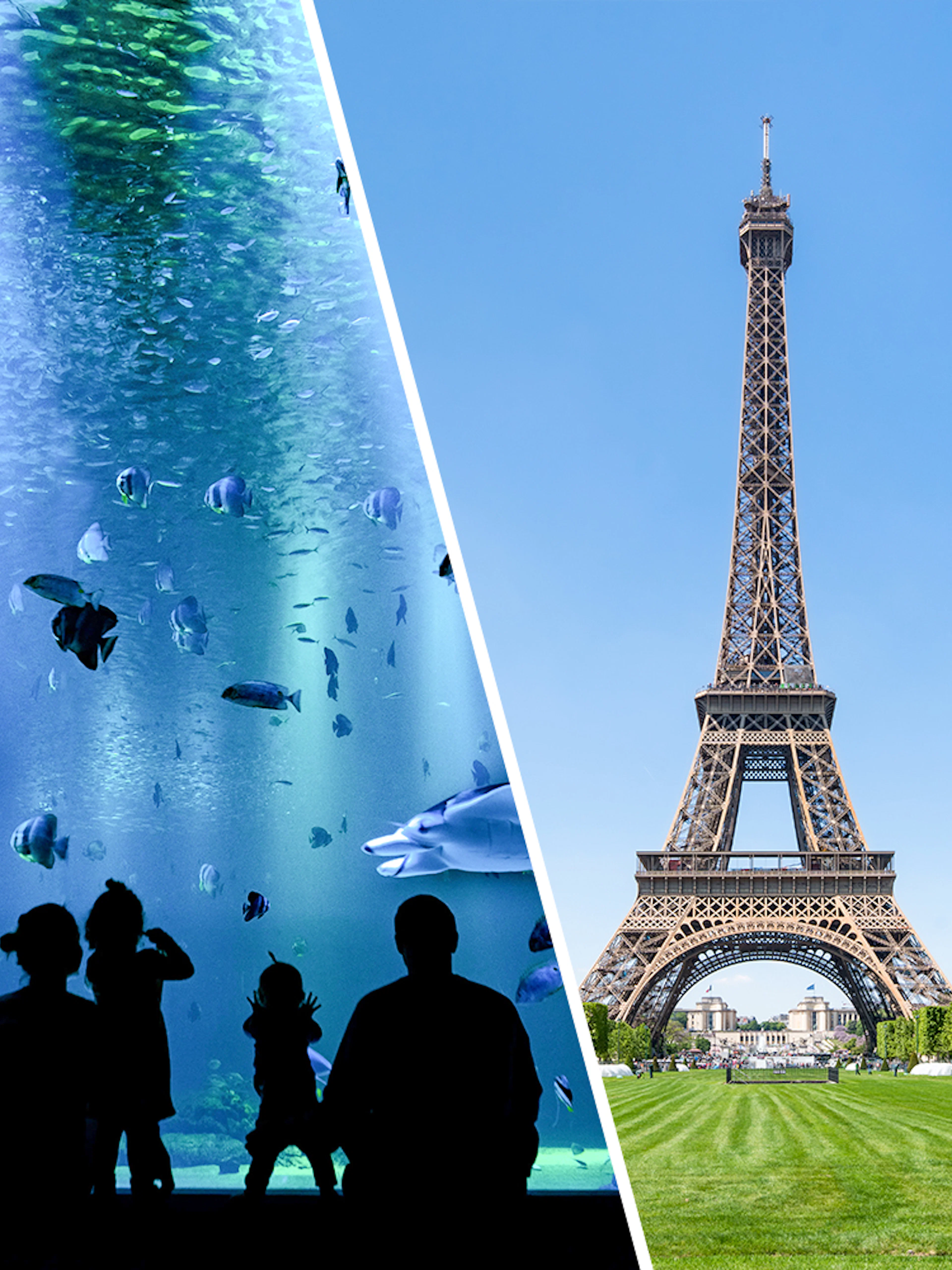 Eiffel Tower with nearby aquarium visit in Paris.