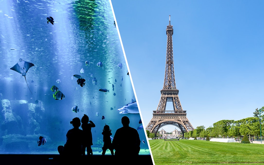 Eiffel Tower with nearby aquarium visit in Paris.