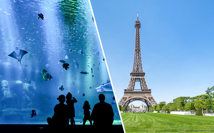 Eiffel Tower with nearby aquarium visit in Paris.