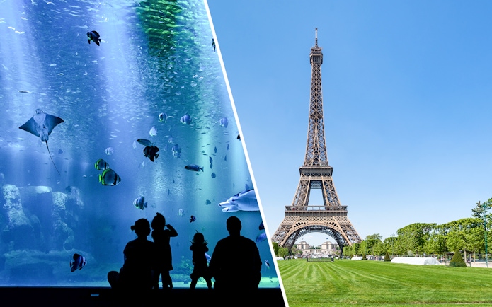Eiffel Tower with nearby aquarium visit in Paris.