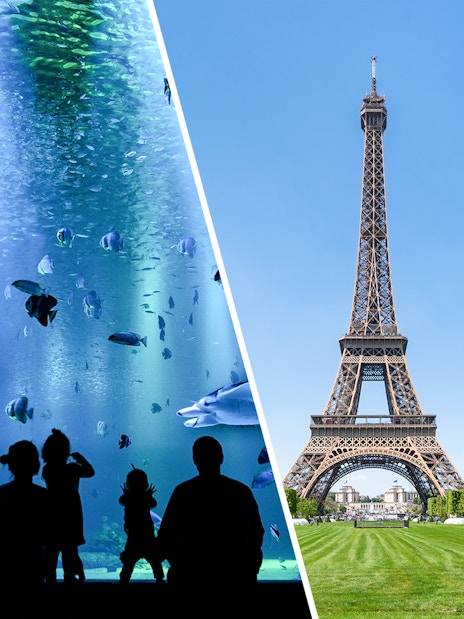 Eiffel Tower with nearby aquarium visit in Paris.