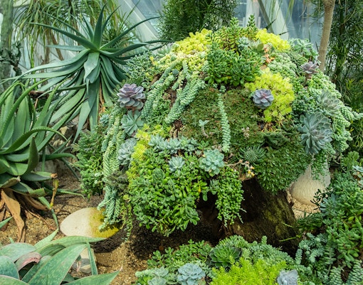 Floral Fantasy Singapore - Drift