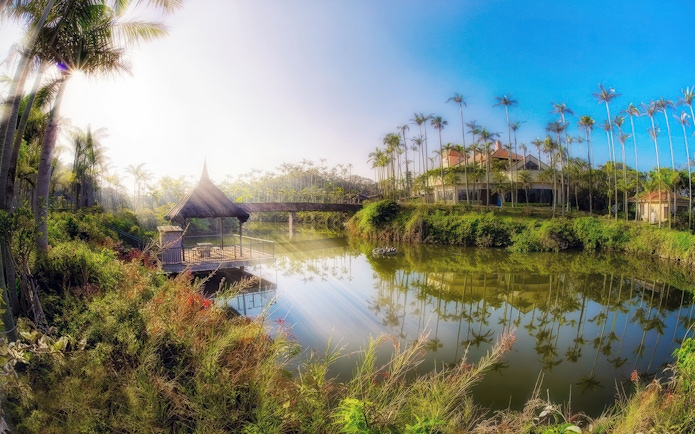 Southeast Botanical Gardens with palm trees and a thatched gazebo by a serene pond.