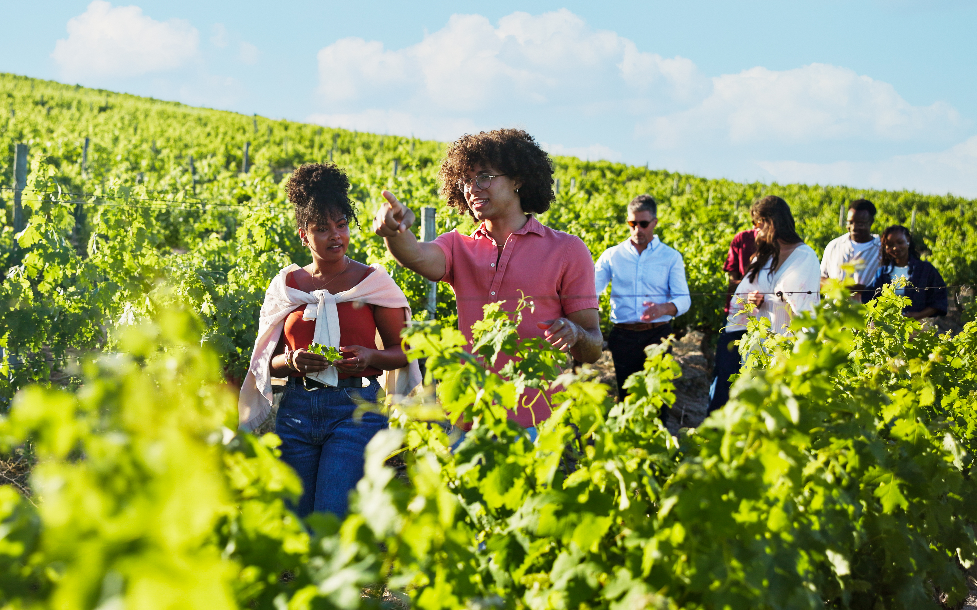 Tour guide explaining vineyard history to group in grape field.