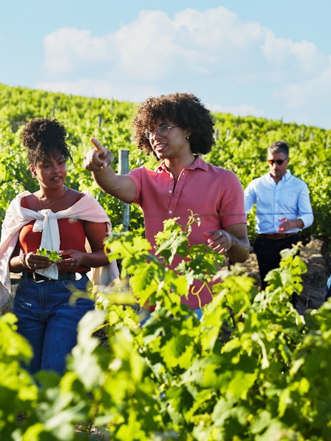Tour guide explaining vineyard history to group in grape field.