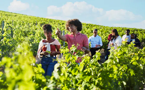 Tour guide explaining vineyard history to group in grape field.