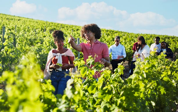 Tour guide explaining vineyard history to group in grape field.
