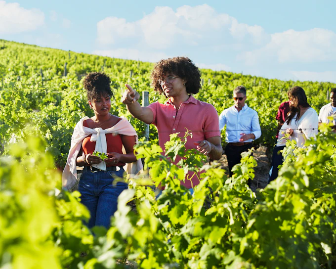 From Naples: Vesuvius Wine Tasting Experience With Mediterranean Lunch