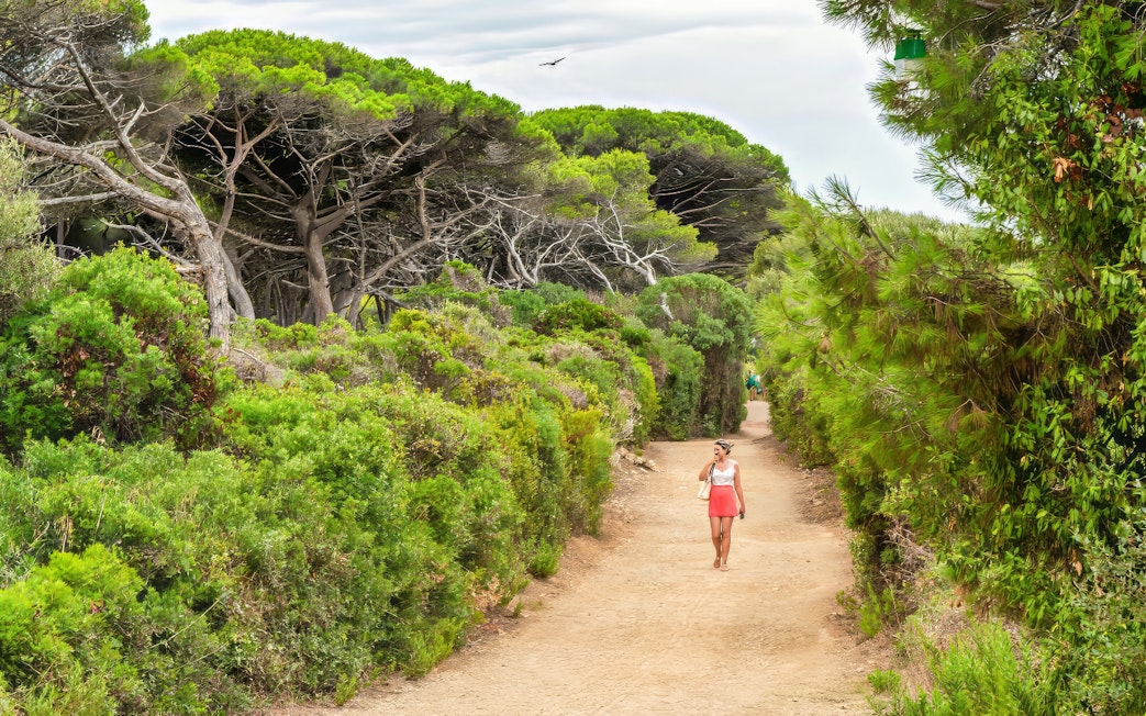 Pathway through lush greenery on Ste. Marguerite Island, France, with a person walking.