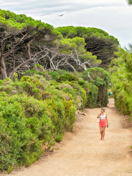 Pathway through lush greenery on Ste. Marguerite Island, France, with a person walking.