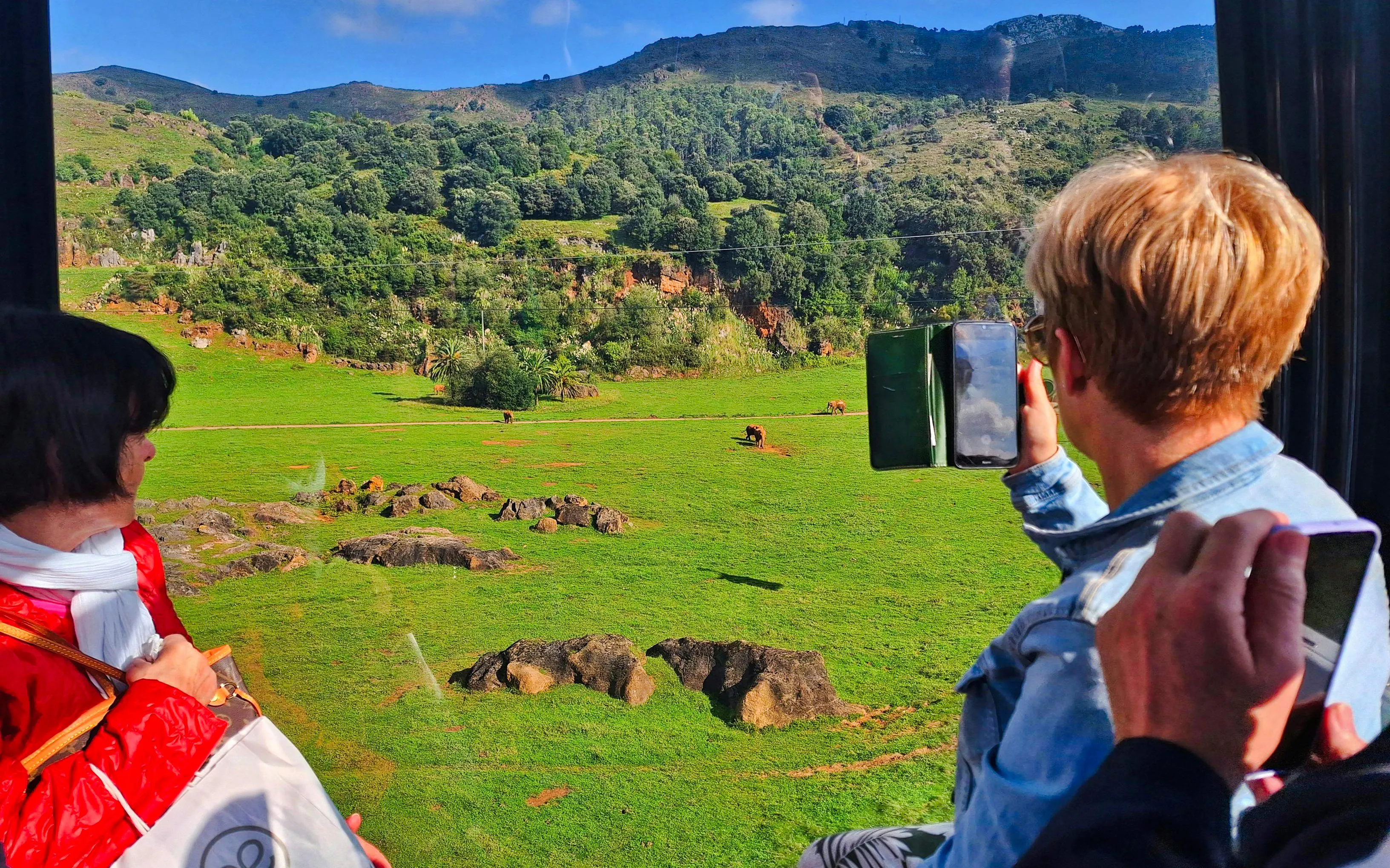Visitors viewing wildlife at Cabárceno Nature Park, Spain, from a cable car.
