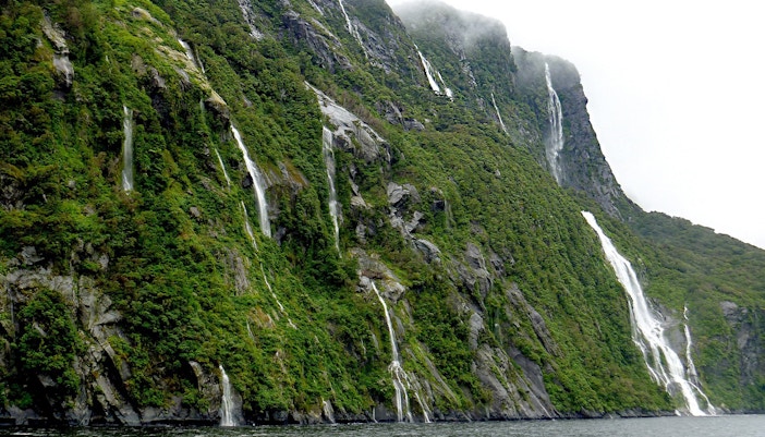Four Sisters waterfalls cascading in lush greenery, milford sound.