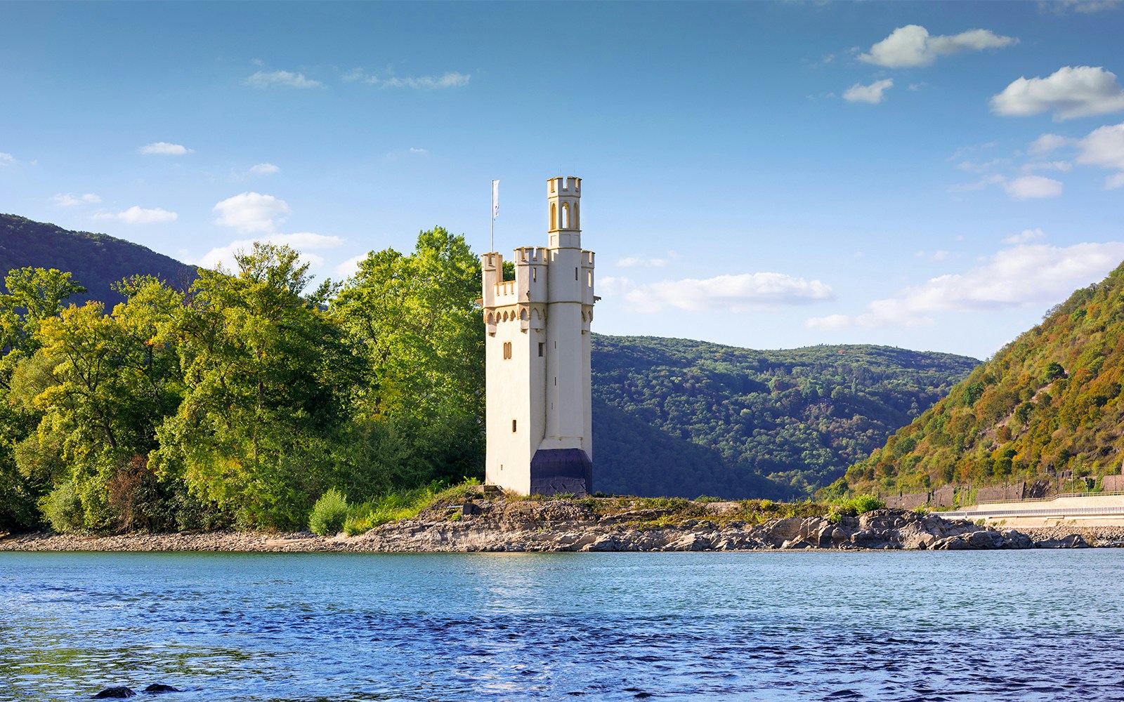 Binger Mäuseturm auf einer Rheininsel im Rhein umgeben von grünen Bäumen und Büschen